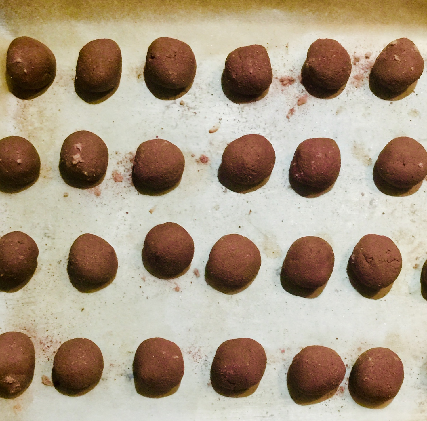 Brazil Nut Ganache Raw Chocolate Truffles