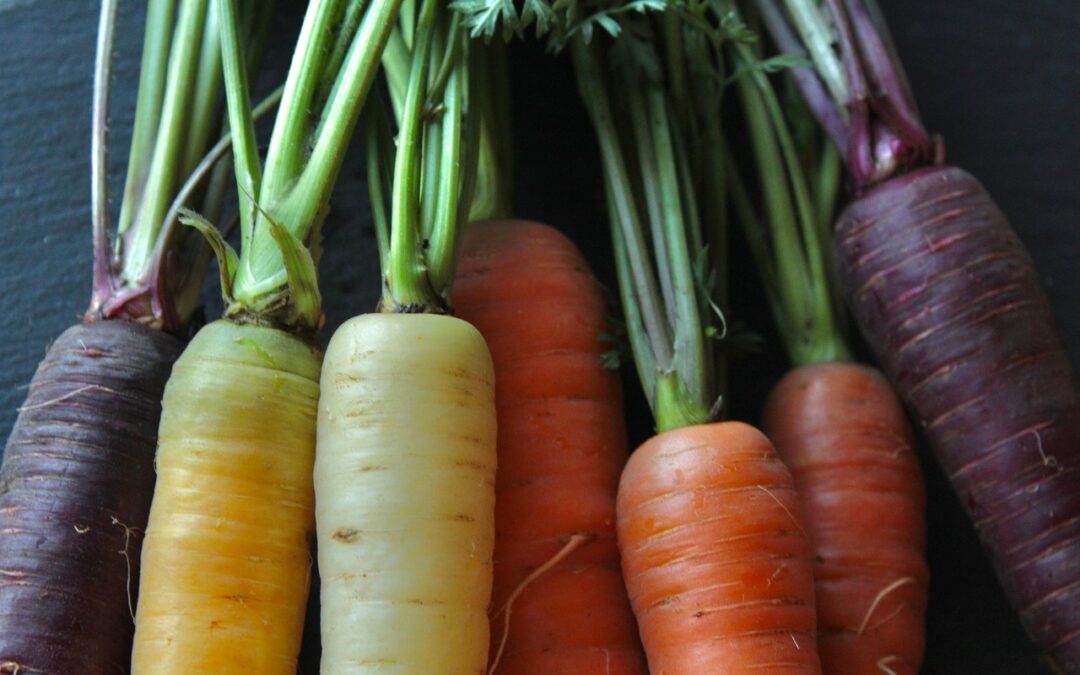 Rainbow Carrots