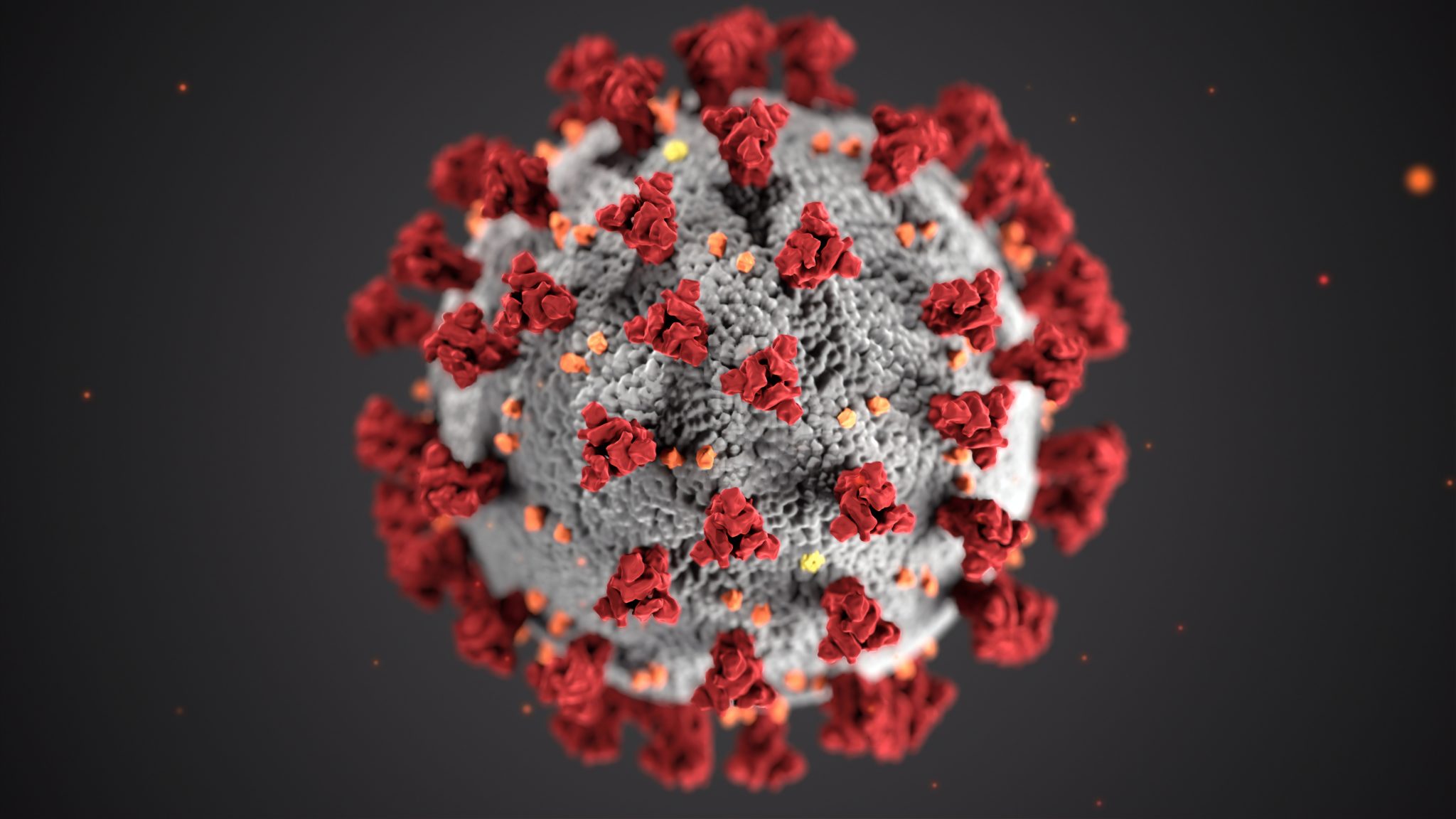 Does Coronavirus Cure Exist?