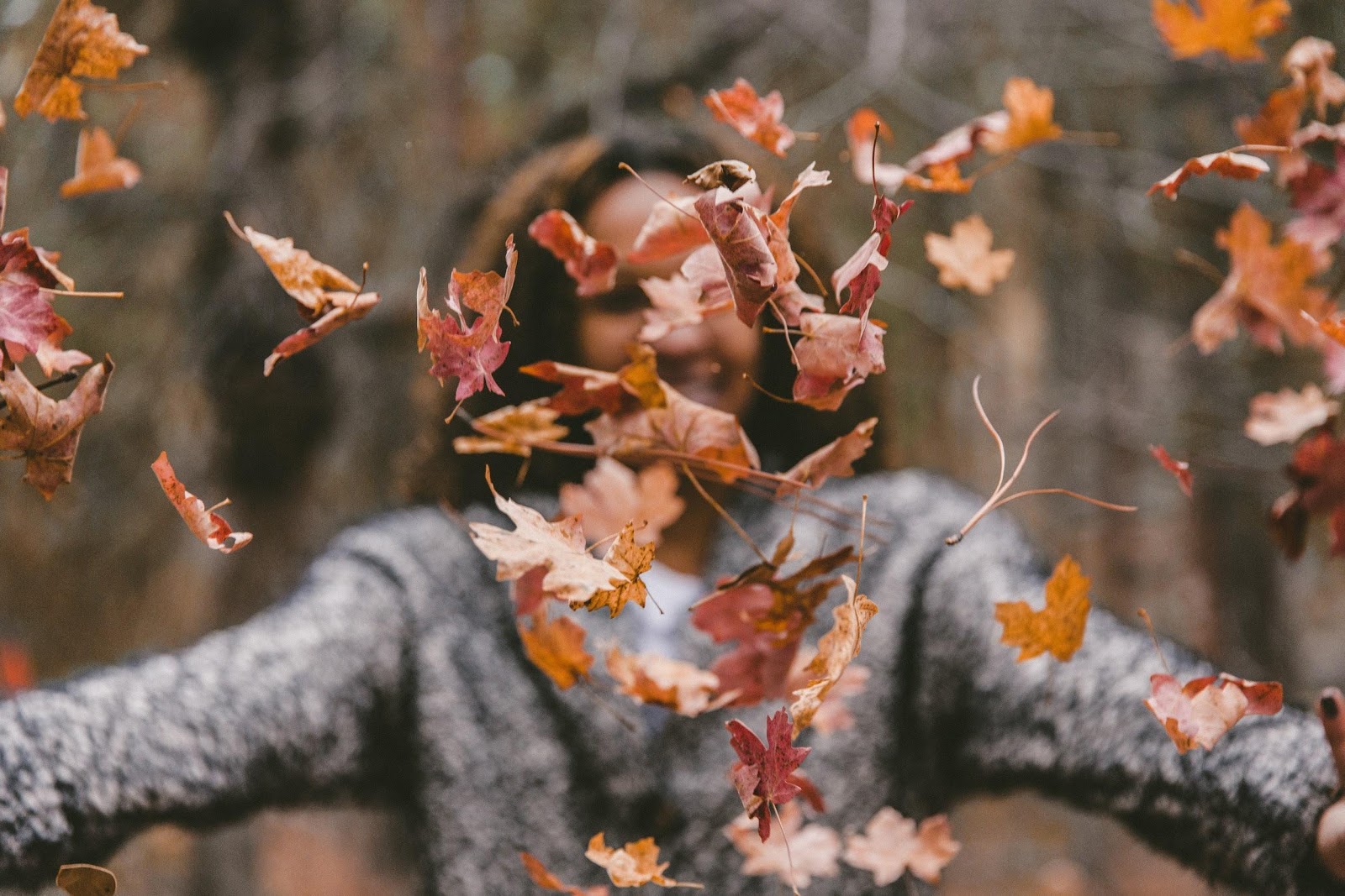 fall leaves